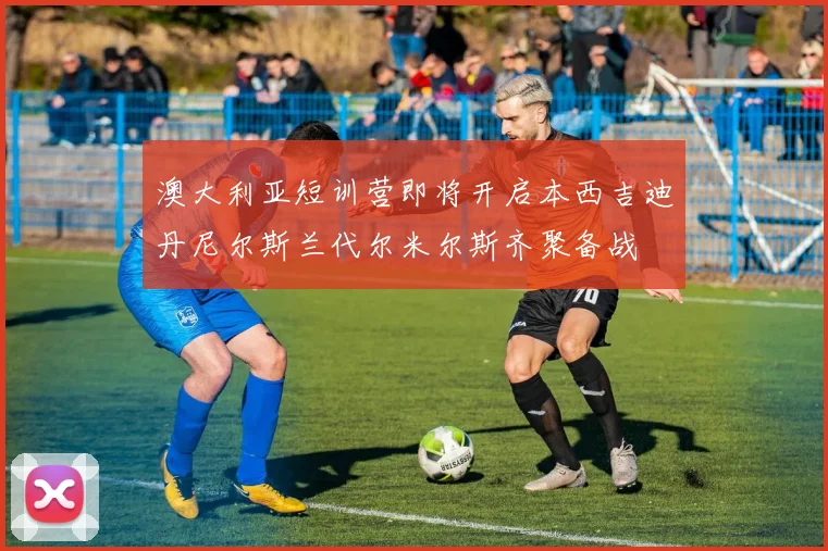 澳大利亚短训营即将开启本西吉迪丹尼尔斯兰代尔米尔斯齐聚备战